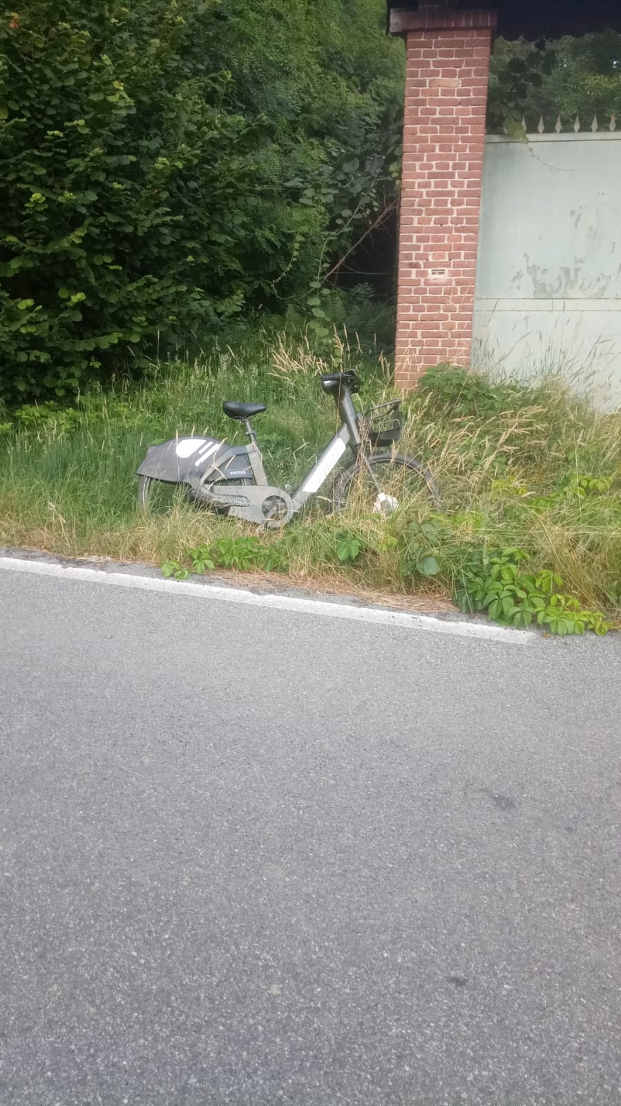 bike sharing