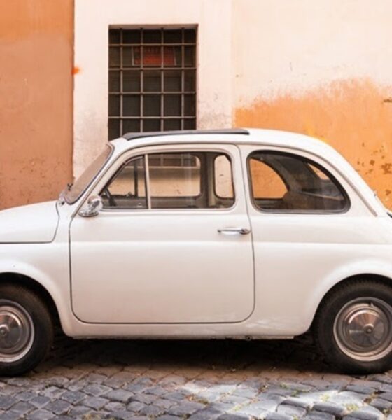 le auto dei biellesi