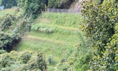 burcina