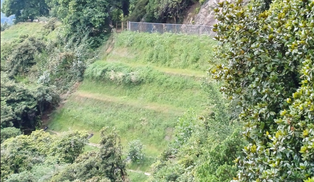 burcina