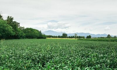 pesa quasi più la burocrazia