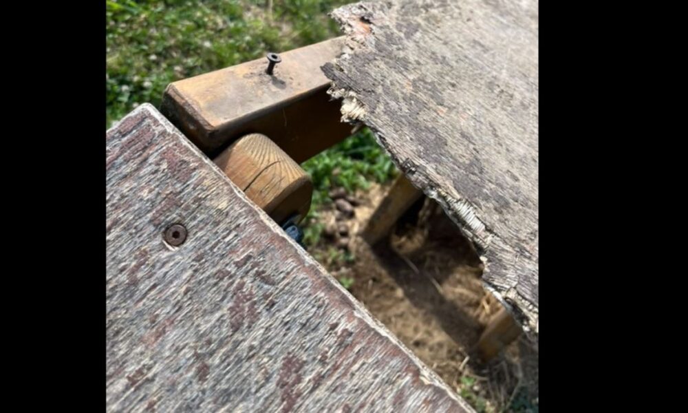 «L’area cani di Chiavazza è pericolosa»