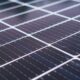 sandigliano sarà la patria dell'agrivoltaico