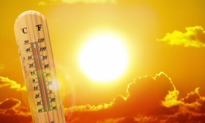 Le ondate di calore