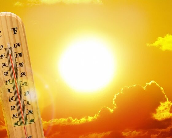 Le ondate di calore