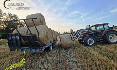Travolto da due rotoballe