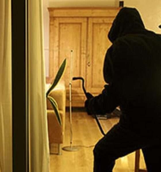 ladri in azione a lessona