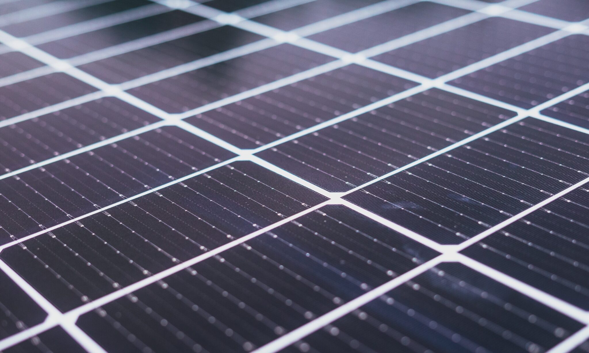 progetto di un mega parco agrivoltaico