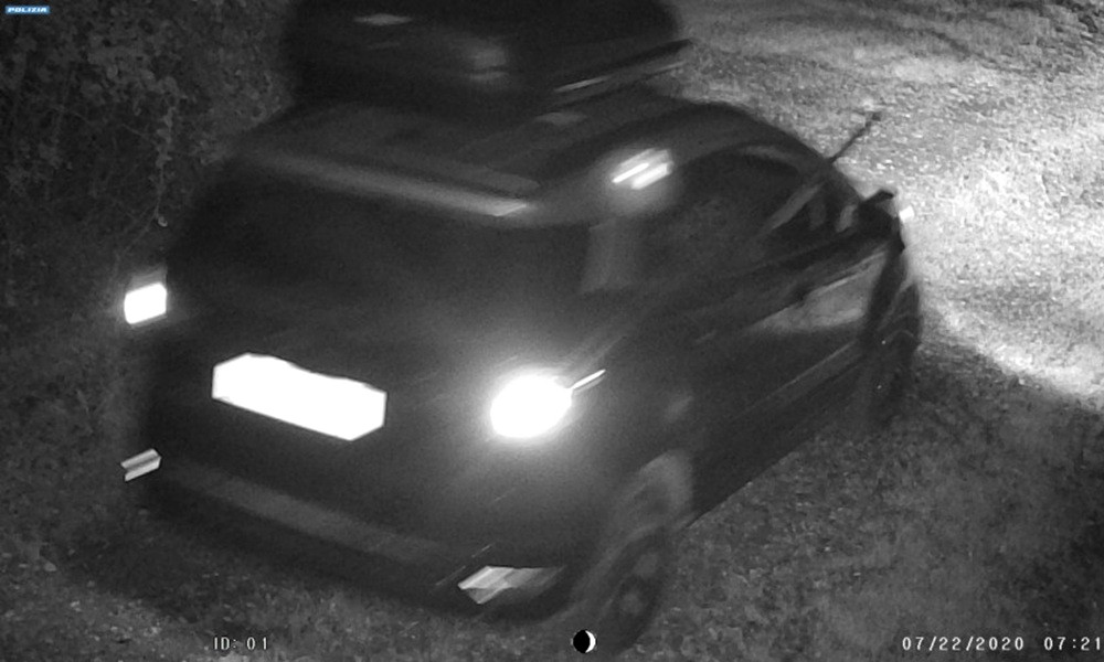 cacciatori sparano senza scendere dall'auto