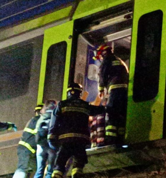 bovini investiti candelo