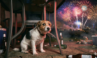 botto botti capodanno