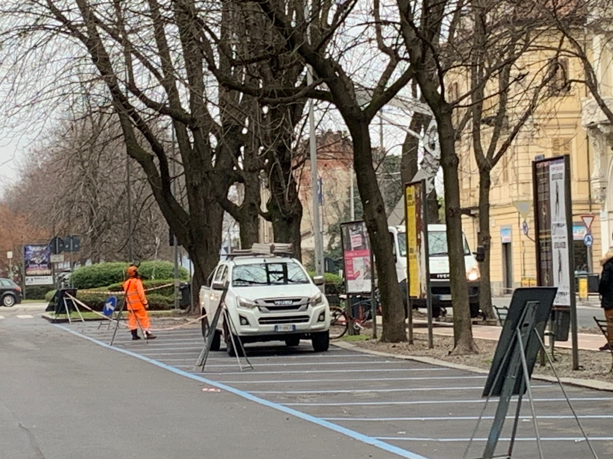 Niente potature dannose “a tappeto”: ogni pianta ha il libretto sanitario