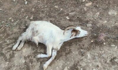 macabra scoperta nella cascina del delitto