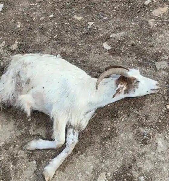 macabra scoperta nella cascina del delitto