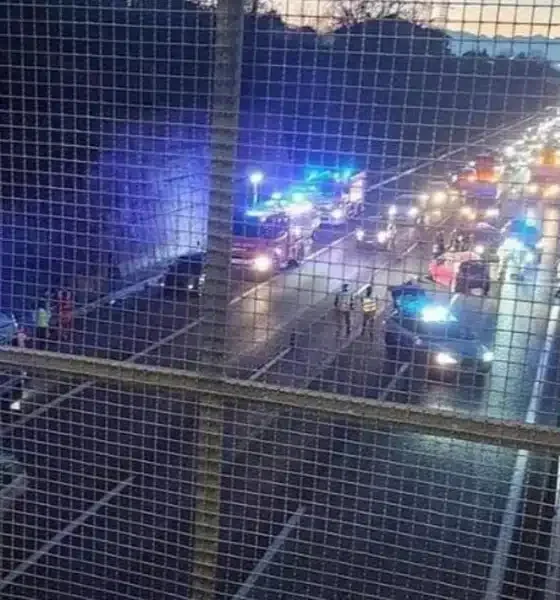 panda contromano tangenziale torino