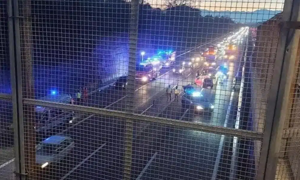 panda contromano tangenziale torino