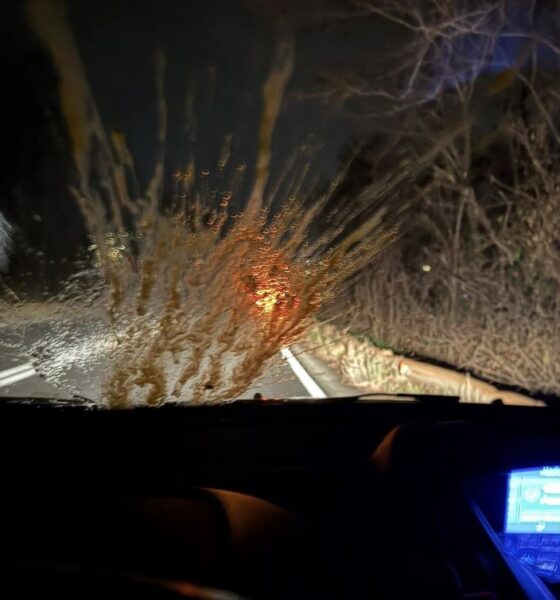 «Lanciano uova contro il parabrezza vicino al ponte»