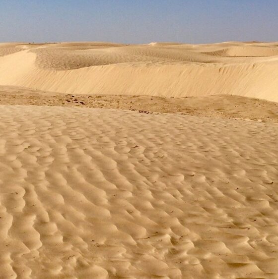 smog in aumento per la sabbia del sahara