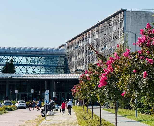 nel 2026 l'asl biella prevede una perdita