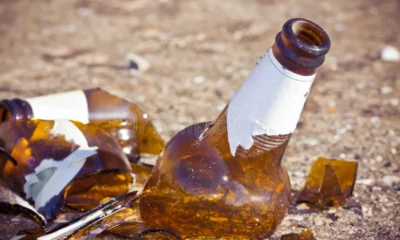 Balordi rovesciano fioriere e spaccano bottiglie