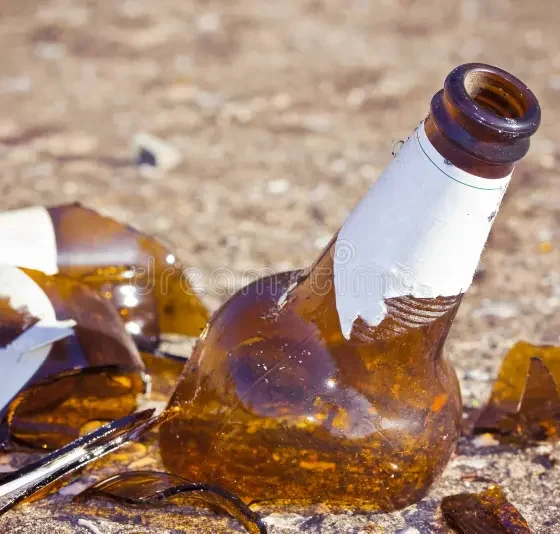 Balordi rovesciano fioriere e spaccano bottiglie