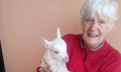 defendina terrizzano