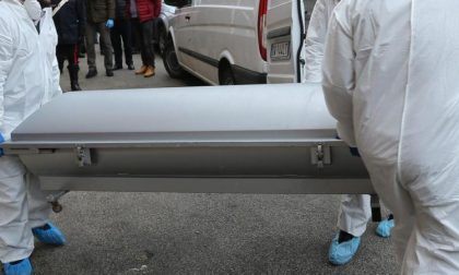 domestico trovato senza vita