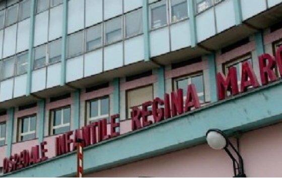 bambina di 3 anni morsa da un rottweiler