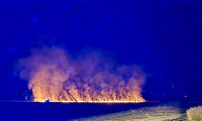 La mano di un piromane appicca il fuoco in Baraggia?