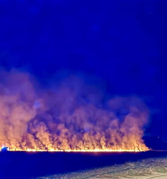 La mano di un piromane appicca il fuoco in Baraggia?