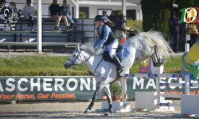 muore un cavallo al pony master show