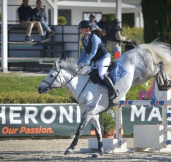 muore un cavallo al pony master show