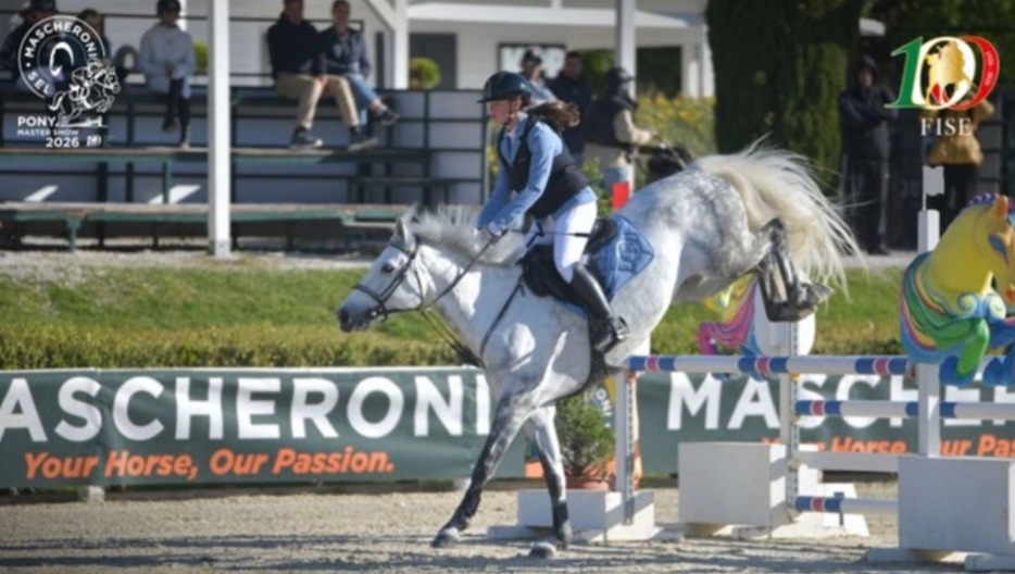 muore un cavallo al pony master show