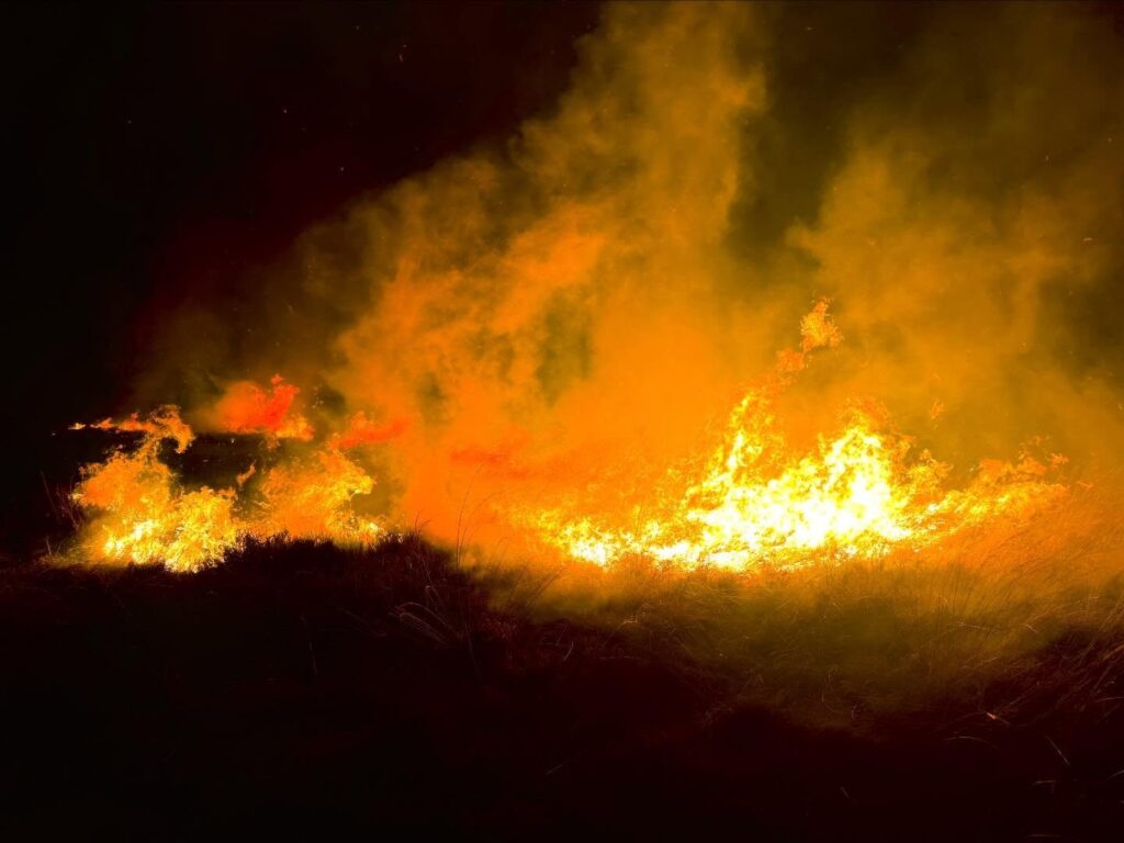 incendio in baraggia