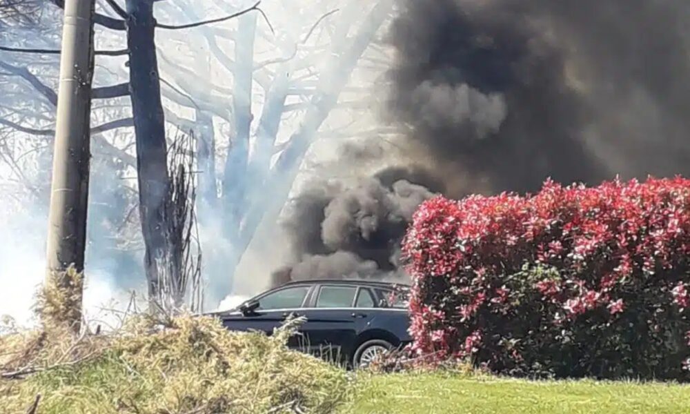 incendio living garden