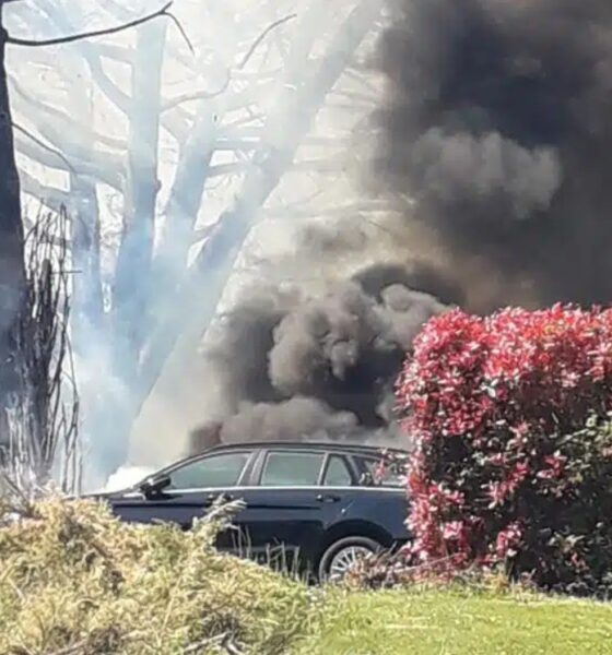 incendio living garden