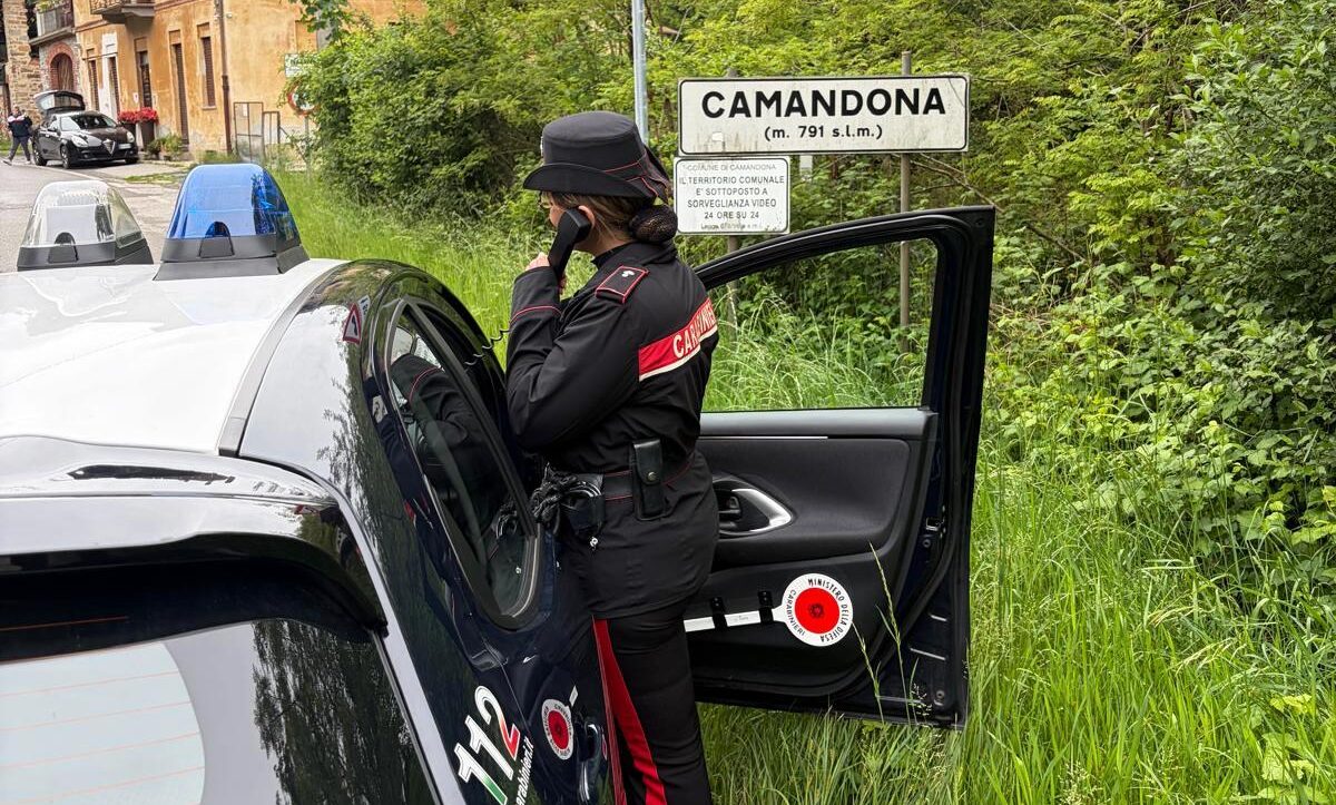 falso volontario