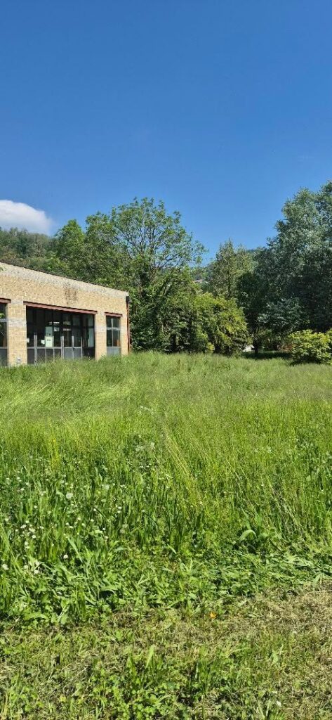 Incuria al parco di Chiavazza, c’è chi teme anche le vipere