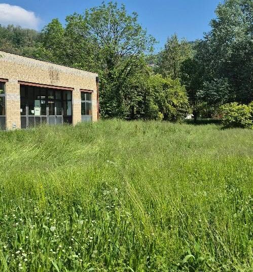 Incuria al parco di Chiavazza, c’è chi teme anche le vipere
