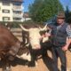 Trovato morto in un terreno, addio a Ugo Ramella Pezza