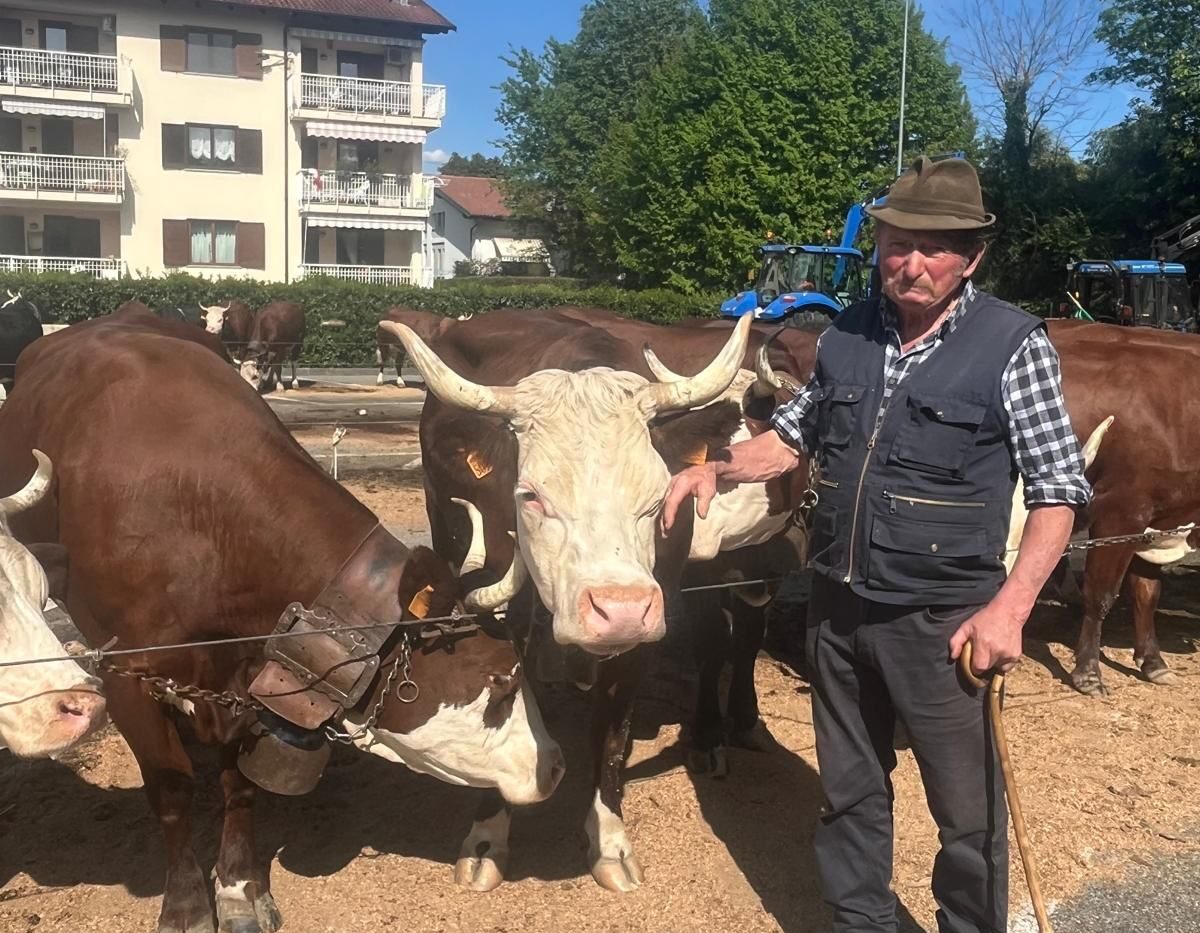 Trovato morto in un terreno, addio a Ugo Ramella Pezza