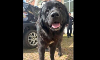 Il “gigante buono” del Cammino di Oropa adesso cerca una casa