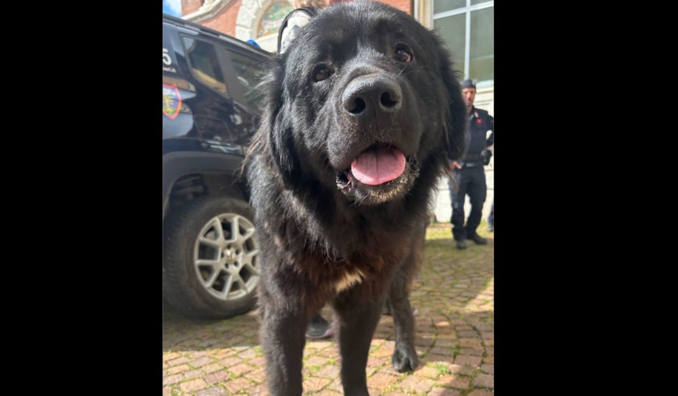 Il “gigante buono” del Cammino di Oropa adesso cerca una casa