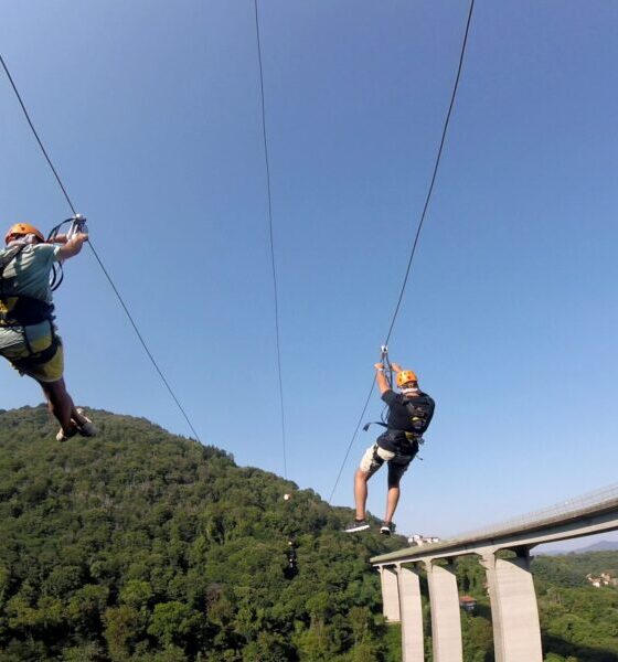 colossus zipline