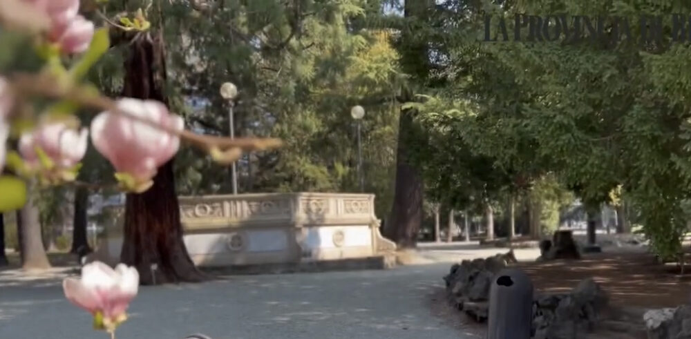 giardini zumaglini cassa armonica
