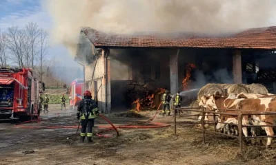 Stalla avvolta dalle fiamme, salvati tutti gli animali