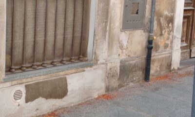 «Peperoncino sul marciapiede per scoraggiare i cani a fare i bisogni»