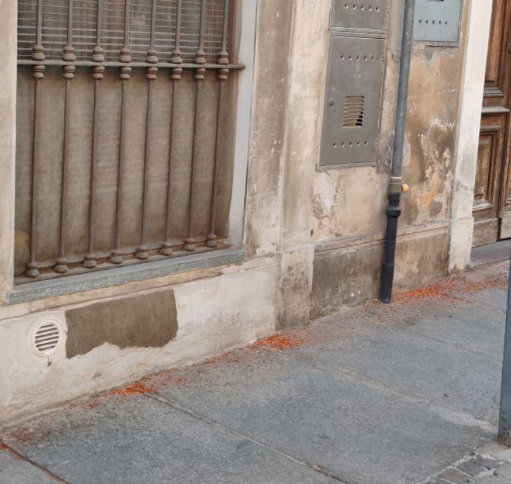 «Peperoncino sul marciapiede per scoraggiare i cani a fare i bisogni»