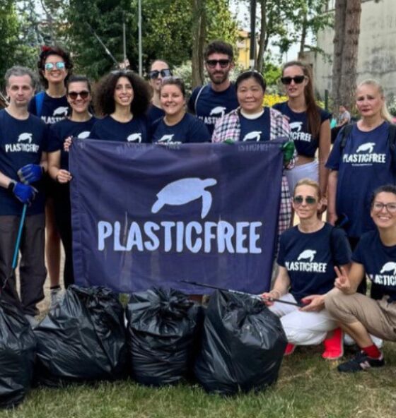 cacciatori di plastica