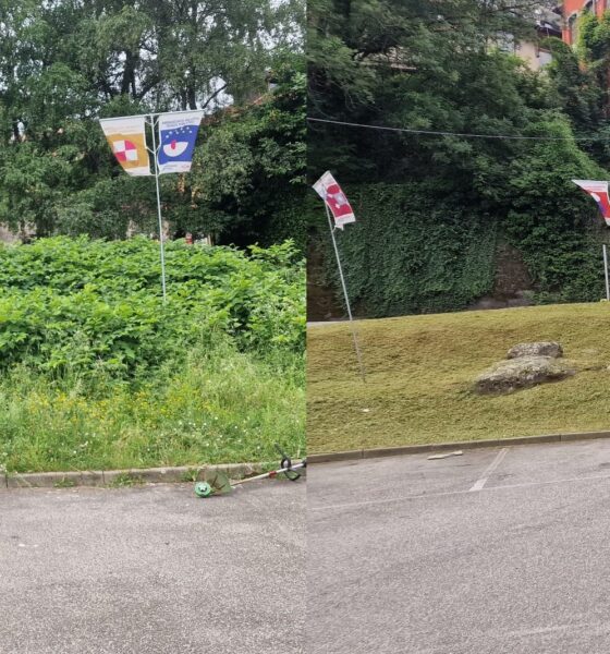 Biella, una città da disboscare: «Più che tagliare erba “facciamo fieno”»